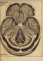 An illustration from Acta eruditorum. 1685 (1685)