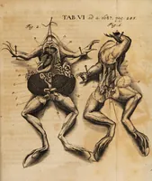 An illustration from Acta eruditorum. 1687 (1687)