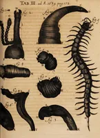 An illustration from Acta eruditorum. 1689 (1689)
