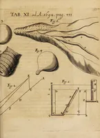 An illustration from Acta eruditorum. 1692 (1692)
