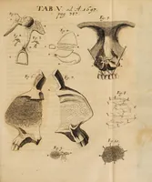 An illustration from Acta eruditorum. 1697 (1697)