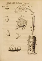 An illustration from Acta eruditorum. 1697 (1697)