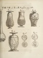 Picture 2 of 5 from Acta eruditorum. Supplementa. Tomus II., 1696 (1696), leaf 379