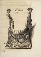An illustration from Acta eruditorum. Supplementa. Tomus II., 1696 (1696)