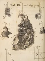 An illustration from Acta eruditorum. 1699 (1699)