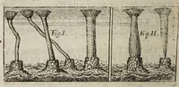 Picture 4 of 6 from Weekly memorials for the ingenious : or, An account of books lately set forth in several languages. With other accounts relating arts and sciences. 1682-1683. (1683), leaf 218