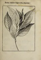 Picture 5 of 6 from Weekly memorials for the ingenious : or, An account of books lately set forth in several languages. With other accounts relating arts and sciences. 1682-1683. (1683), leaf 327