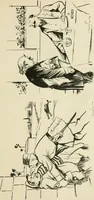 An illustration from Les maîtres humoristes, les meilleurs dessins, les meilleures legendes (1905)