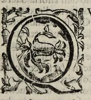 Picture 13 of 17 from Giornale de' letterati. 1687 (1687), leaf 191