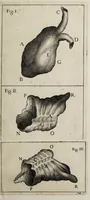 Picture 17 of 17 from Giornale de' letterati. 1687 (1687), leaf 271