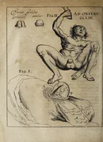 An illustration from Miscellanea curiosa medico-physica Academiæ Naturæ curiosorum, sive, Ephemeridum medico-physicarum Germanicarum curiosarum. 1671. (1671)