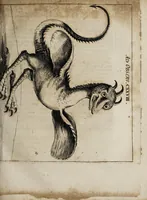 Picture 8 of 21 from Miscellanea curiosa medico-physica Academiæ Naturæ curiosorum, sive, Ephemeridum medico-physicarum Germanicarum curiosarum. 1672. (1672), leaf 255