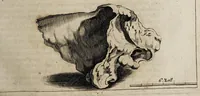 An illustration from Miscellanea curiosa medico-physica Academiæ Naturæ curiosorum, sive, Ephemeridum medico-physicarum Germanicarum curiosarum. 1672. (1672)