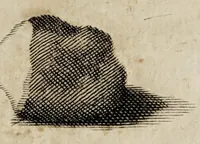 Picture 11 of 21 from Miscellanea curiosa medico-physica Academiæ Naturæ curiosorum, sive, Ephemeridum medico-physicarum Germanicarum curiosarum. 1672. (1672), leaf 455