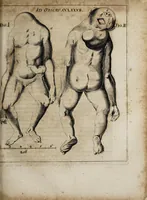 Picture 15 of 21 from Miscellanea curiosa medico-physica Academiæ Naturæ curiosorum, sive, Ephemeridum medico-physicarum Germanicarum curiosarum. 1672. (1672), leaf 571