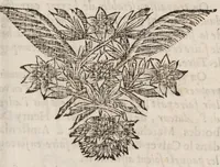 An illustration from Nouvelles de la république des lettres. March - July 1684. (1684)