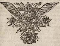 An illustration from Nouvelles de la république des lettres. March - July 1684. (1684)