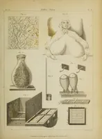 Picture 8 of 16 from The philosophical transactions of the Royal Society of London, from their commencement, in 1665, to the year 1800 : abridged, with notes and biographical illustrations / by Charles Hutton, George Shaw, Richard Pearson. Volume 1, 1665-1672. (1672), leaf 49