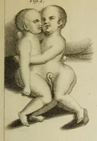 Picture 11 of 16 from The philosophical transactions of the Royal Society of London, from their commencement, in 1665, to the year 1800 : abridged, with notes and biographical illustrations / by Charles Hutton, George Shaw, Richard Pearson. Volume 1, 1665-1672. (1672), leaf 55