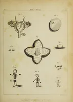 An illustration from The philosophical transactions of the Royal Society of London, from their commencement, in 1665, to the year 1800 : abridged, with notes and biographical illustrations / by Charles Hutton, George Shaw, Richard Pearson. Volume 1, 1665-1672. (1672)