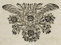 Picture 7 of 9 from Miscellanea medico-physica Academiae Naturae Curiosorum Germaniae : in quibus plurimae et novae observationes, medicae, chirurgicae, anatomicae, therapeuticae, physicae, chymicae, & botanicae, continentur. Cum figuris aeneis. 1672. (1672), leaf 255