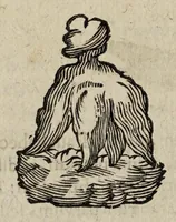 An illustration from Miscellanea curiosa medico-physica Academiæ Naturæ curiosorum, sive, Ephemeridum medico-physicarum Germanicarum curiosarum. 1673-1674. (1674)