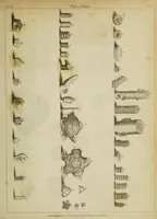 Picture 5 of 16 from The philosophical transactions of the Royal Society of London, from their commencement, in 1665, to the year 1800 : abridged, with notes and biographical illustrations / by Charles Hutton, George Shaw, Richard Pearson. Volume 2, 1672-1683. (1683), leaf 29