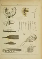 Picture 10 of 16 from The philosophical transactions of the Royal Society of London, from their commencement, in 1665, to the year 1800 : abridged, with notes and biographical illustrations / by Charles Hutton, George Shaw, Richard Pearson. Volume 2, 1672-1683. (1683), leaf 45