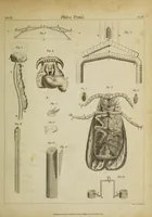 An illustration from The philosophical transactions of the Royal Society of London, from their commencement, in 1665, to the year 1800 : abridged, with notes and biographical illustrations / by Charles Hutton, George Shaw, Richard Pearson. Volume 3, 1683-1694. (1694)