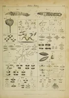 Picture 3 of 8 from The philosophical transactions of the Royal Society of London, from their commencement, in 1665, to the year 1800 : abridged, with notes and biographical illustrations / by Charles Hutton, George Shaw, Richard Pearson. Volume 3, 1683-1694. (1694), leaf 27
