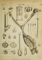 An illustration from The philosophical transactions of the Royal Society of London, from their commencement, in 1665, to the year 1800 : abridged, with notes and biographical illustrations / by Charles Hutton, George Shaw, Richard Pearson. Volume 3, 1683-1694. (1694)