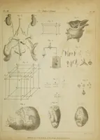 An illustration from The philosophical transactions of the Royal Society of London, from their commencement, in 1665, to the year 1800 : abridged, with notes and biographical illustrations / by Charles Hutton, George Shaw, Richard Pearson. Volume 3, 1683-1694. (1694)