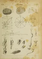 An illustration from The philosophical transactions of the Royal Society of London, from their commencement, in 1665, to the year 1800 : abridged, with notes and biographical illustrations / by Charles Hutton, George Shaw, Richard Pearson. Volume 3, 1683-1694. (1694)