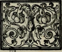 An illustration from Sacra emblemata LXXVI : in quibus summa unius cuiusq[ue] evangelii rotunde adumbratur : das ist, Sechsundsibentzig geistliche figürlein in welchen eines ieder evangelij summa kürtzlichen wird abgebildet (1625)