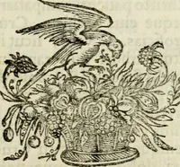 Picture 14 of 26 from Sacra mystarum hebdomada, sive, Quotidiana pro sacerdotibus piè celebrandi : septenaria verò pro laicis, devotè communicandi formula, sacris, è litteris (1700), leaf 131