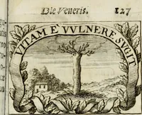 An illustration from Sacra mystarum hebdomada, sive, Quotidiana pro sacerdotibus piè celebrandi : septenaria verò pro laicis, devotè communicandi formula, sacris, è litteris (1700)