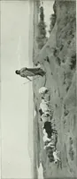 Picture 29 of 199 from Sacred art; the Bible story pictured by eminent modern painters; (1903), leaf 106