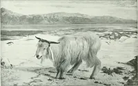 An illustration from Sacred art; the Bible story pictured by eminent modern painters; (1903)