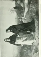Picture 178 of 199 from Sacred art; the Bible story pictured by eminent modern painters; (1903), leaf 404