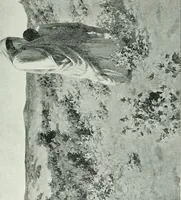 An illustration from Sacred art; the Bible story pictured by eminent modern painters; (1903)