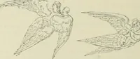 An illustration from Sacred and legendary art : containing legends of the angels and archangels, the evangelists, the apostles, the doctors of the Church and St. Mary Magdalene as represented in the fine arts (1911)
