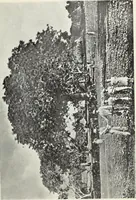An illustration from Sacred mysteries among the Mayas and the Quiches, 11,500 years ago ; their relation to the sacred mysteries of Egypt, Greece, Chaldea and India; Free Masonry in times anterior to the Temple of Solomon (1909)