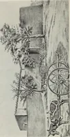 An illustration from Sacred mysteries among the Mayas and the Quiches, 11,500 years ago ; their relation to the sacred mysteries of Egypt, Greece, Chaldea and India; Free Masonry in times anterior to the Temple of Solomon (1909)