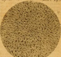 An illustration from The Sacred theory of the earth : containing an account of the original of the earth and of all the general changes which it hath already undergone, or is to undergo, till the consumation of all things (1719)