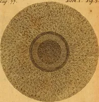 An illustration from The Sacred theory of the earth : containing an account of the original of the earth and of all the general changes which it hath already undergone, or is to undergo, till the consumation of all things (1719)