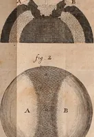 An illustration from The Sacred theory of the earth : containing an account of the original of the earth and of all the general changes which it hath already undergone, or is to undergo, till the consumation of all things (1719)