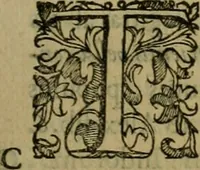 An illustration from Sacrorum elaeochrismaton myrothecium sacroprophanum : in quo ex antiquis Graecis at Latinis scriptoribus quidquid ad nomina, antiquitatem, vsum & abusum oleorum & vnguentorum ex sacris habetur litteris dilucidè explicatur (1625)