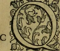 An illustration from Sacrorum elaeochrismaton myrothecium sacroprophanum : in quo ex antiquis Graecis at Latinis scriptoribus quidquid ad nomina, antiquitatem, vsum & abusum oleorum & vnguentorum ex sacris habetur litteris dilucidè explicatur (1625)