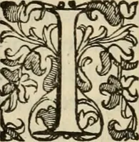 An illustration from Sacrorum elaeochrismaton myrothecium sacroprophanum : in quo ex antiquis Graecis at Latinis scriptoribus quidquid ad nomina, antiquitatem, vsum & abusum oleorum & vnguentorum ex sacris habetur litteris dilucidè explicatur (1625)
