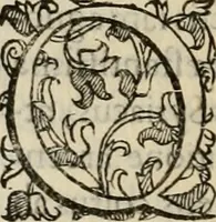An illustration from Sacrorum elaeochrismaton myrothecium sacroprophanum : in quo ex antiquis Graecis at Latinis scriptoribus quidquid ad nomina, antiquitatem, vsum & abusum oleorum & vnguentorum ex sacris habetur litteris dilucidè explicatur (1625)